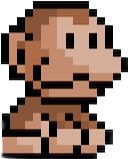 monkey